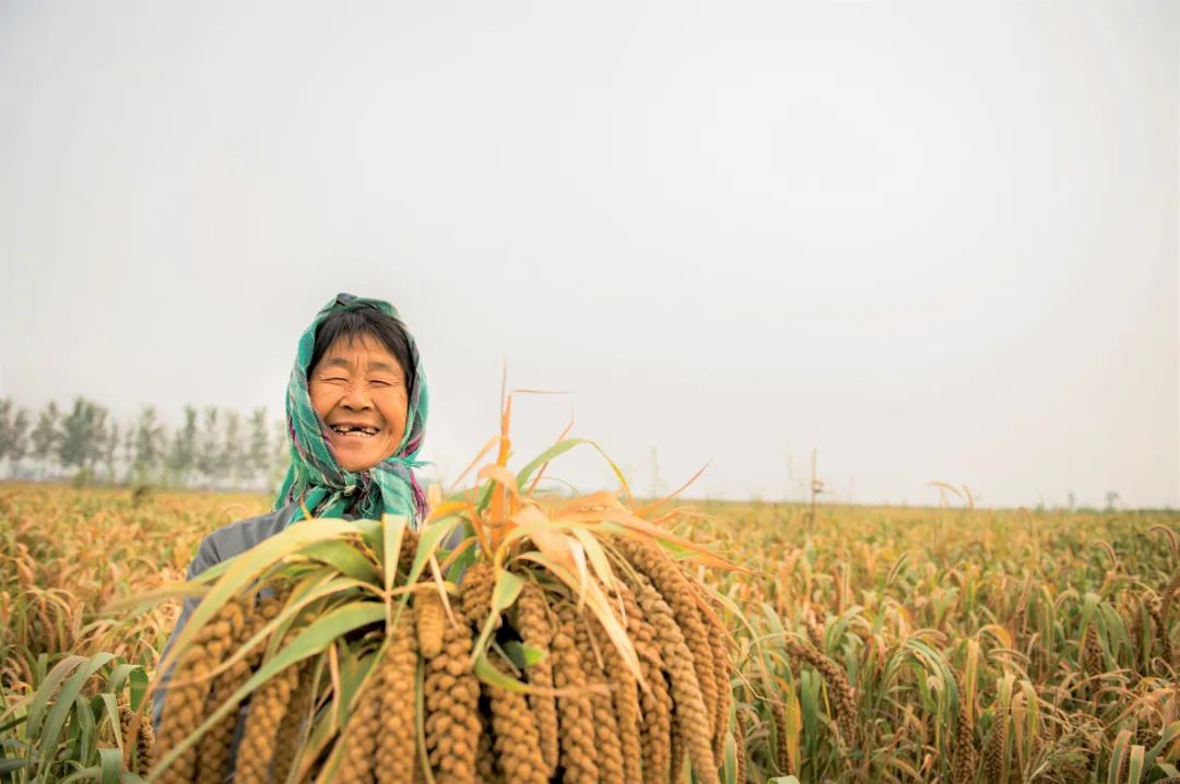 世界粮食日•镜头丨国以民为本 民以食为天